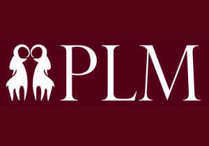 Poznań Linguistic Meeting (PLM2023)